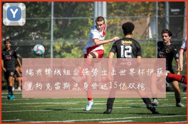 瑞典锋线组合强势出击世界杯伊萨克约克雷斯总身价达15亿双枪
