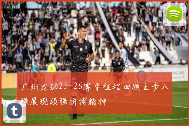 广州龙狮25-26赛季征程回顾止步八强展现顽强拼搏精神